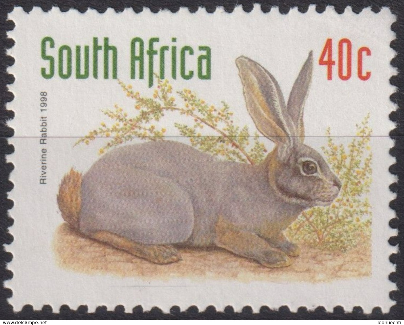 1998 Südafrika ° Mi:ZA 1103, Sn:ZA 1025, Yt:ZA 996, Riverine Rabbet (Bunolagus Monticularis), Tiere, - Usati