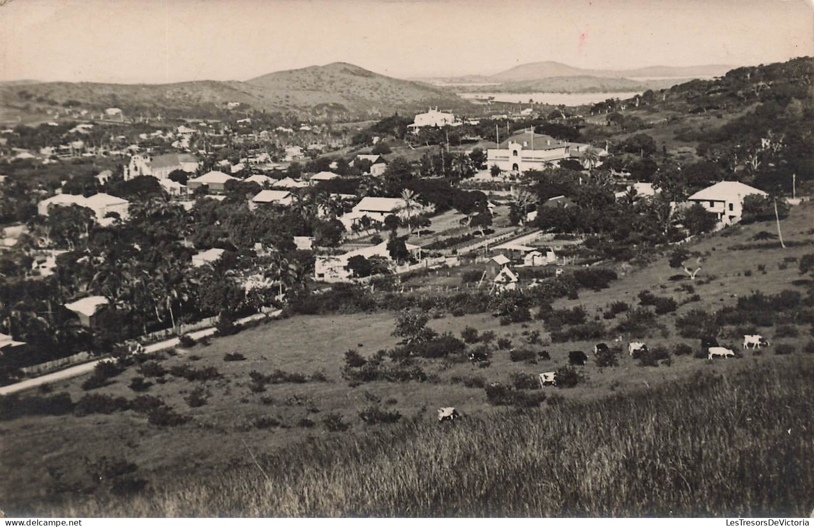 Nouvelle Calédonie -  Vue De Nouméa - Panoramique - Carte Photo - Carte Postale Ancienne - Nieuw-Caledonië