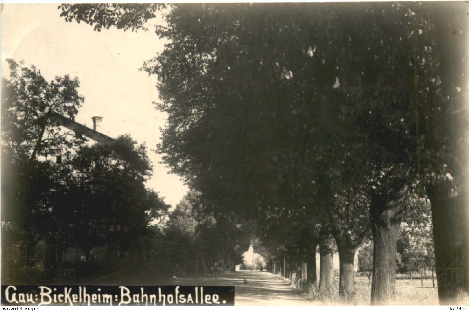 Gau-Bickelheim - Bahnhofsallee - Alzey