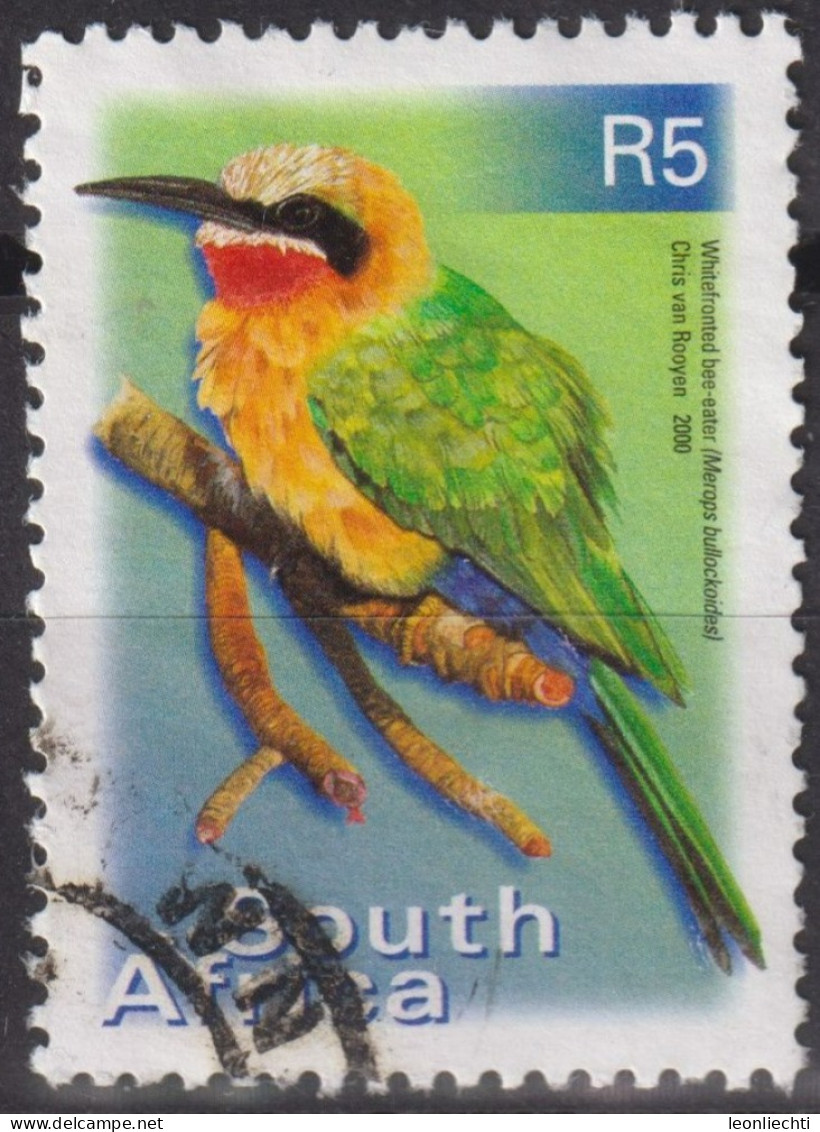 2002 Südafrika ° Mi:ZA 1307C, Sn:ZA 1195a, Yt:ZA 1127Xa, White-fronted Bee-eater (Merops Bullockoides), Vogel - Usados
