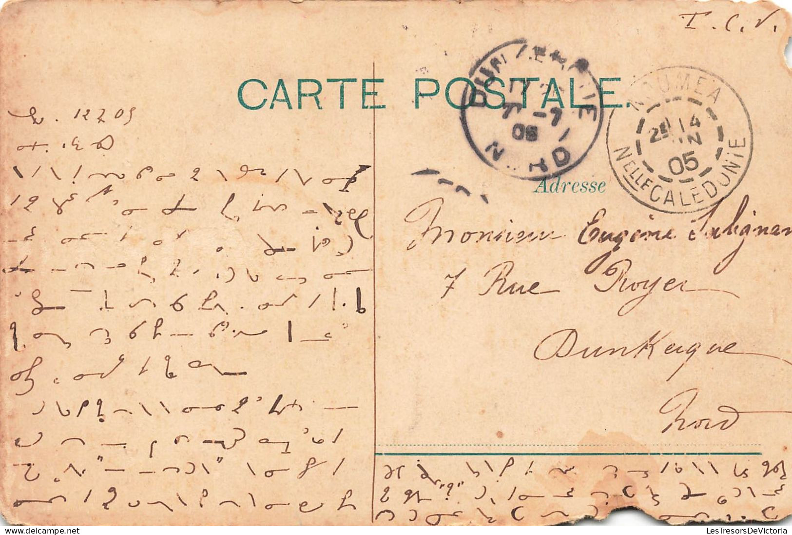 Nouvelle Calédonie - Canaque à La Peau De Tigre - Oblitéré 1905 - Carte Postale Ancienne - Nieuw-Caledonië