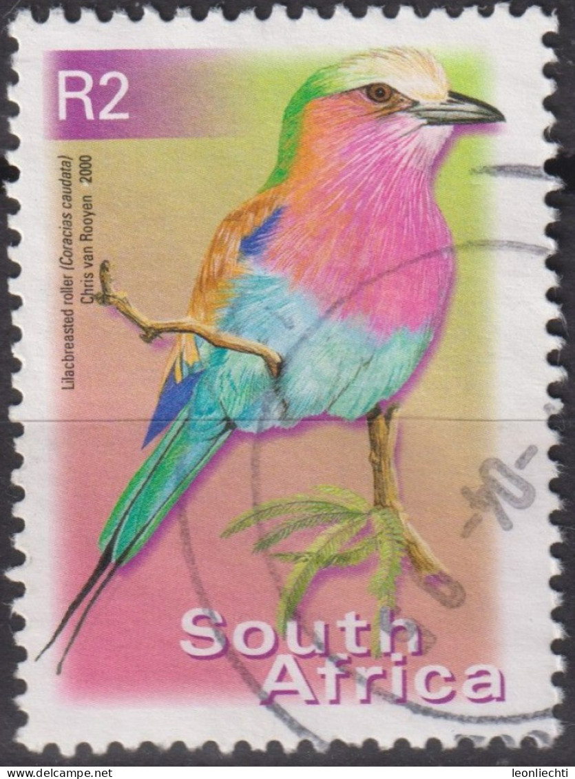 2002 Südafrika ° Mi:ZA 1304C, Sn:ZA 1192a, Yt:ZA 1127Va, Lilac-brested Roller (Coracias Caudata), Vogel - Oblitérés
