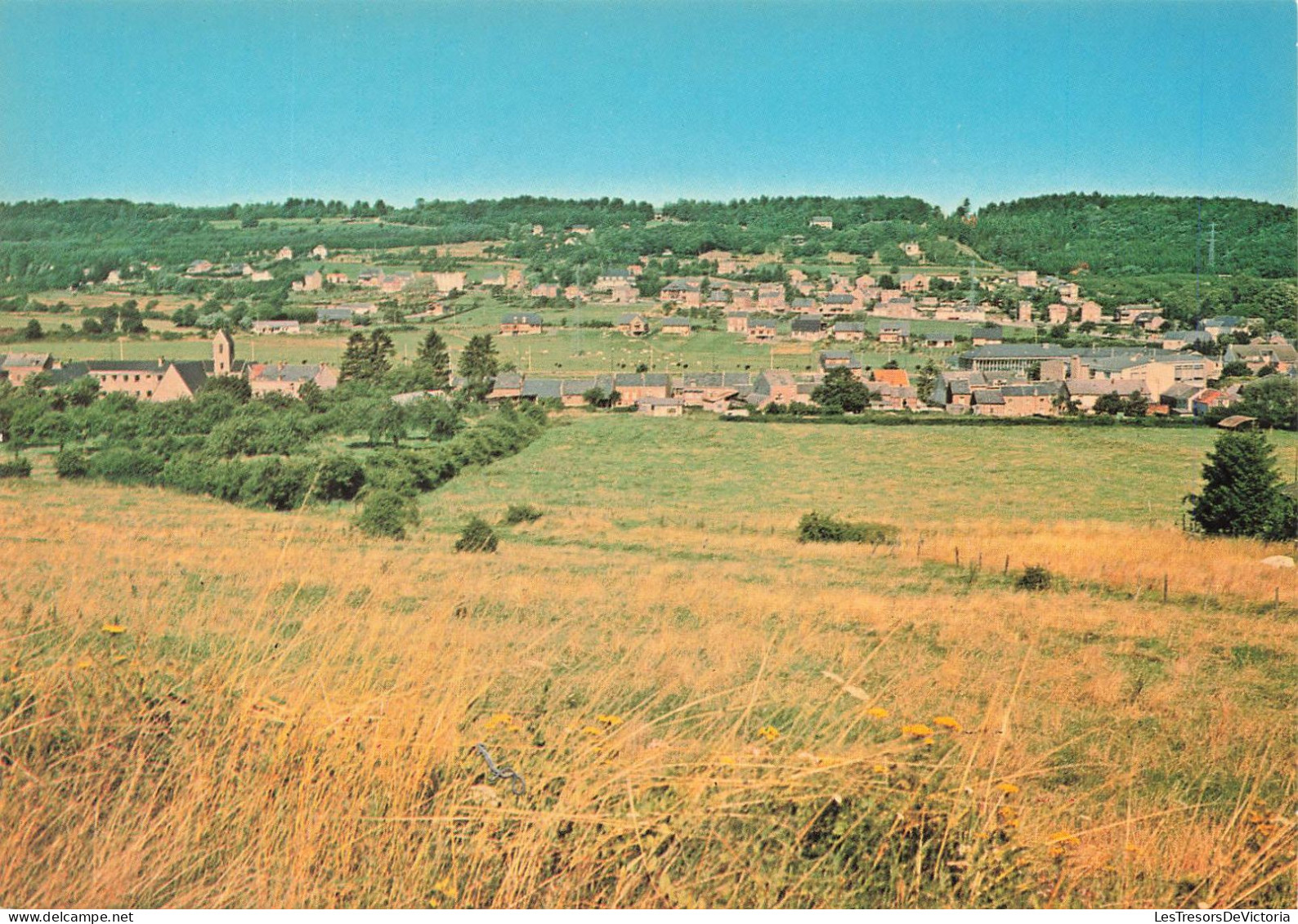 BELGIQUE - Durbuy - Barvaux Sur Outhe - Panorama De La Ville - Colorisé - Carte Postale - Durbuy