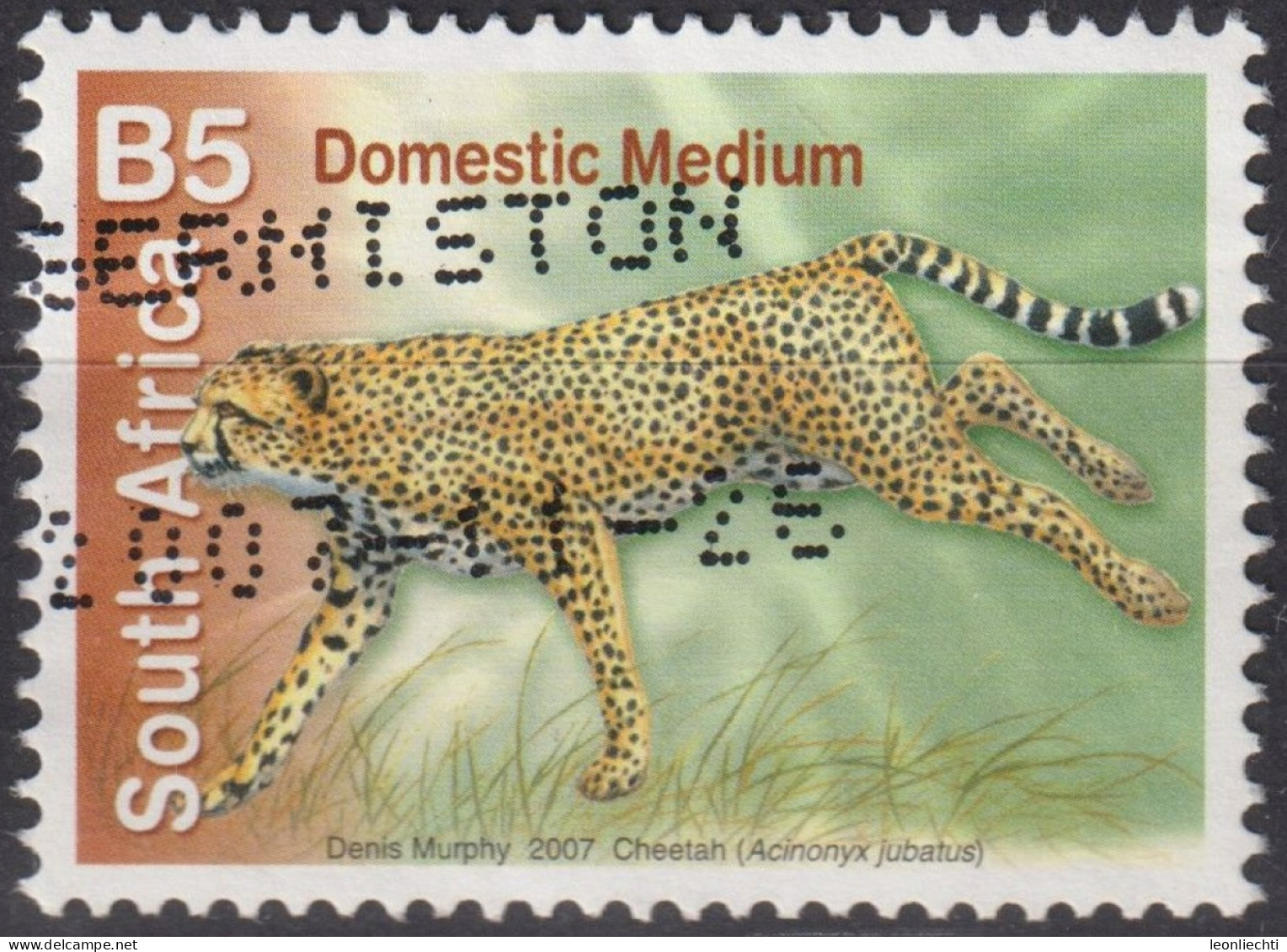 2007 Südafrika ° Mi:ZA 1755A, Sn:ZA 1372, Yt:ZA 1415, Cheetah (Acinonyx Jubatus) - Gebraucht