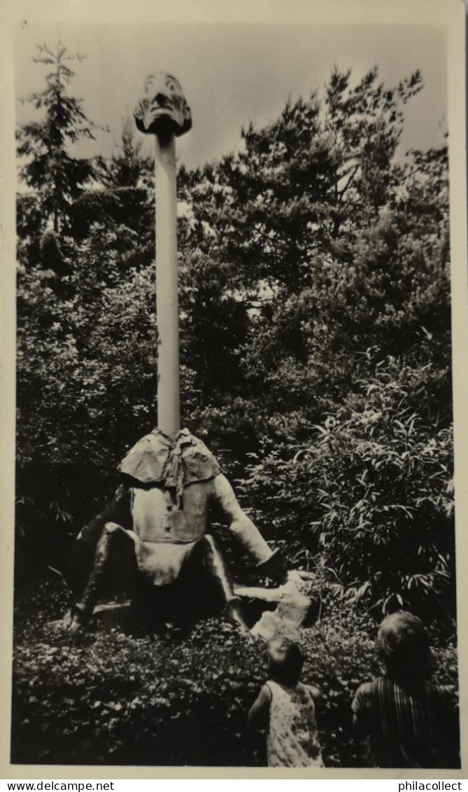 Kaatsheuvel //  Natuurpark De Efteling -  De Lange Man  Ca 1968 - Kaatsheuvel