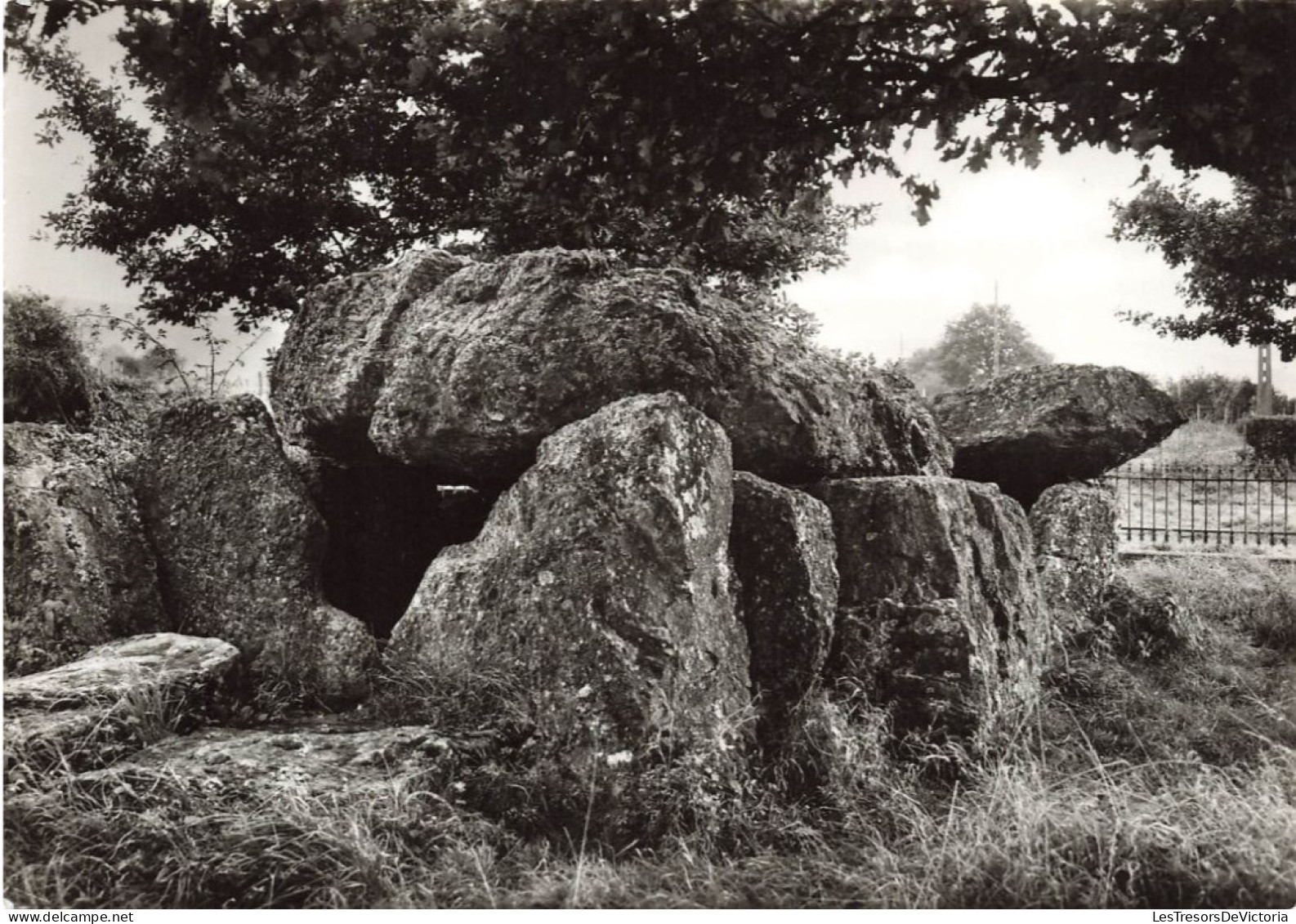 BELGIQUE - Durbuy - Les Environs - Le Dolmen De Wéris - Carte Postale Ancienne - Durbuy