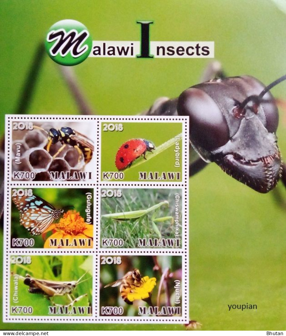 Malawi 2018, Malawi Insects, MNH Sheetlet - Malawi (1964-...)