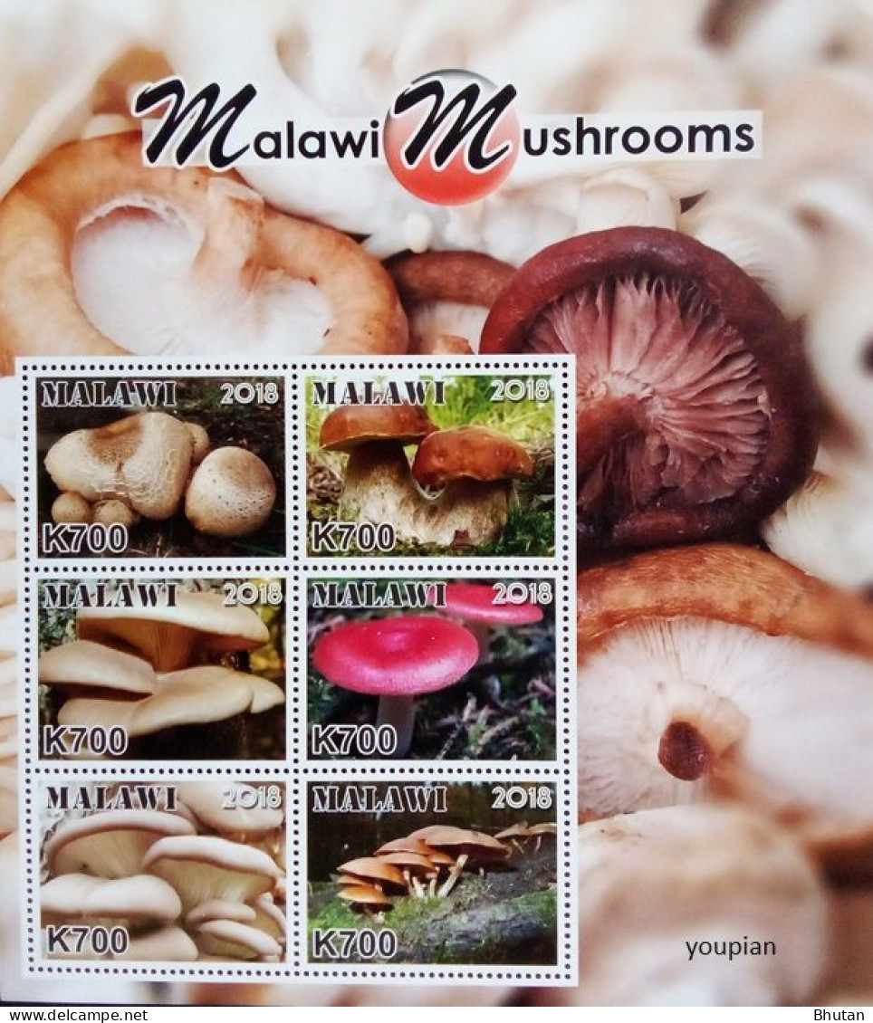 Malawi 2018, Mushrooms, MNH Sheetlet - Malawi (1964-...)