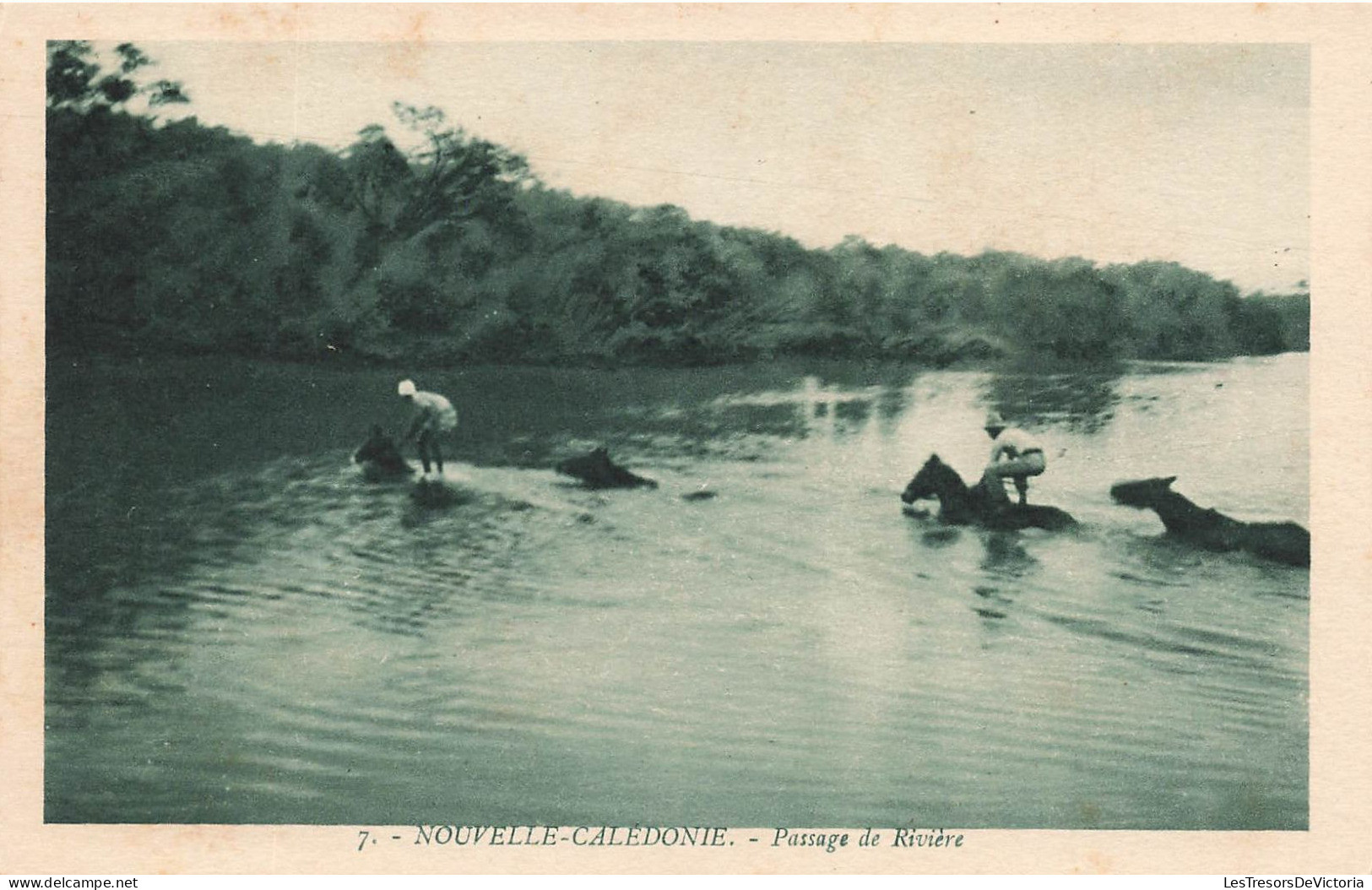 Nouvelle Calédonie - Passage De Rivière - Chevaux - E.B. - Carte Postale Ancienne - Nouvelle-Calédonie