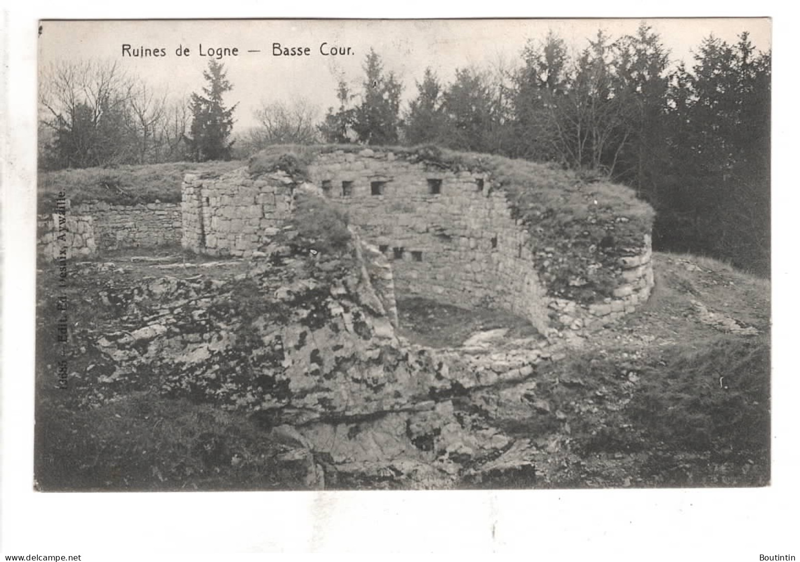 Ruines De Ligne Basse Cour - Ferrières