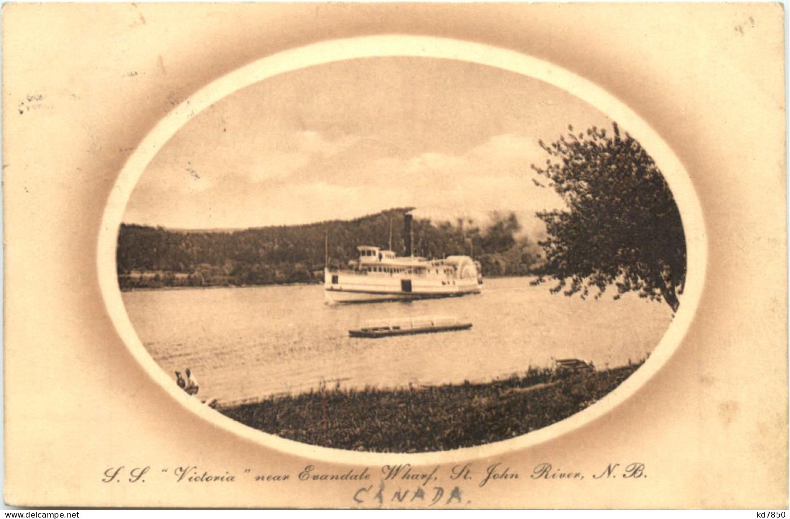 SS Victoria Near Evandale Wharf - St. John River - Other & Unclassified