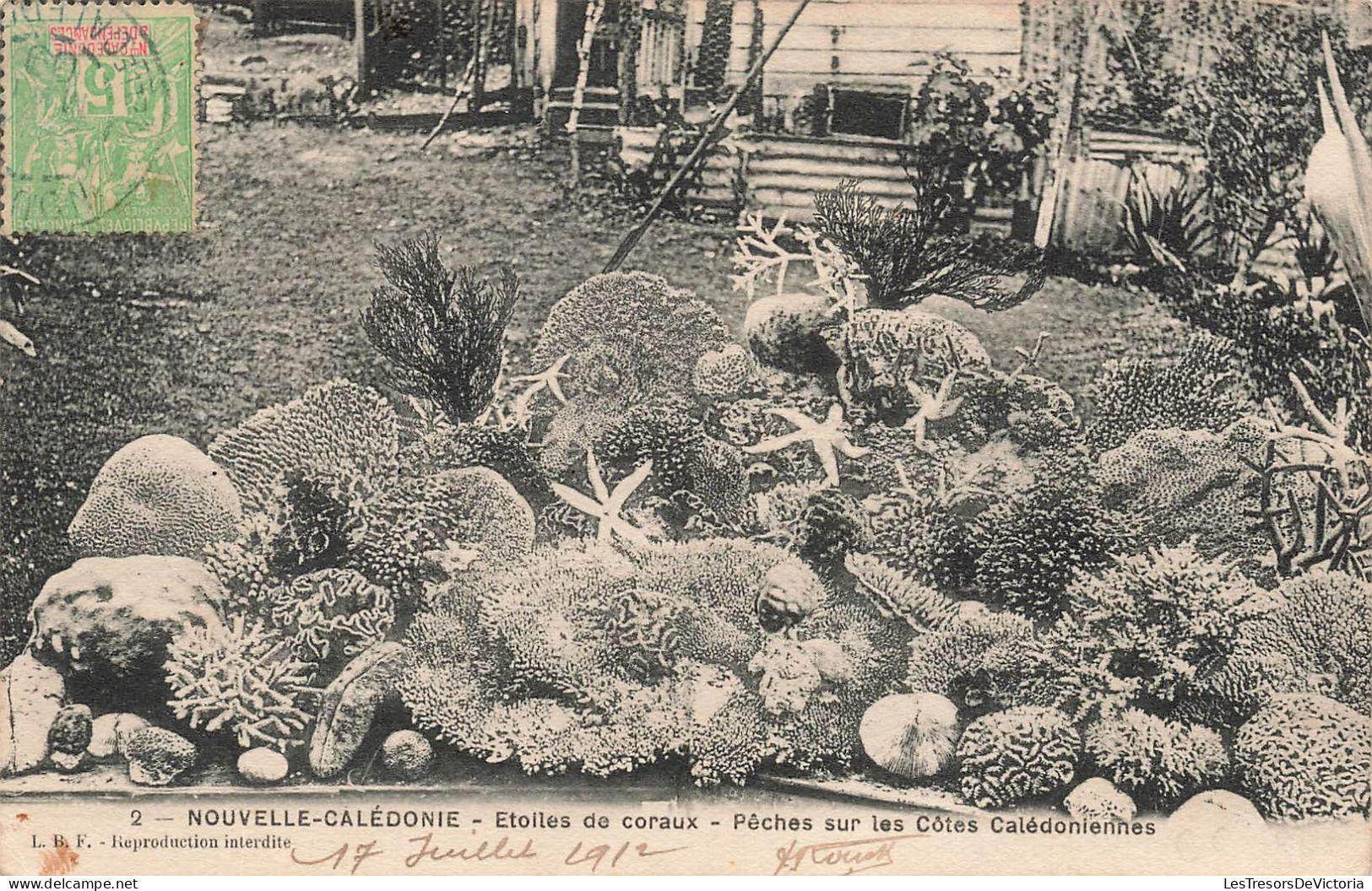 Nouvelle Calédonie - Etoiles De Coraux - Pêches Sur Les Côtes Calédoniennes - Carte Postale Ancienne - Nueva Caledonia