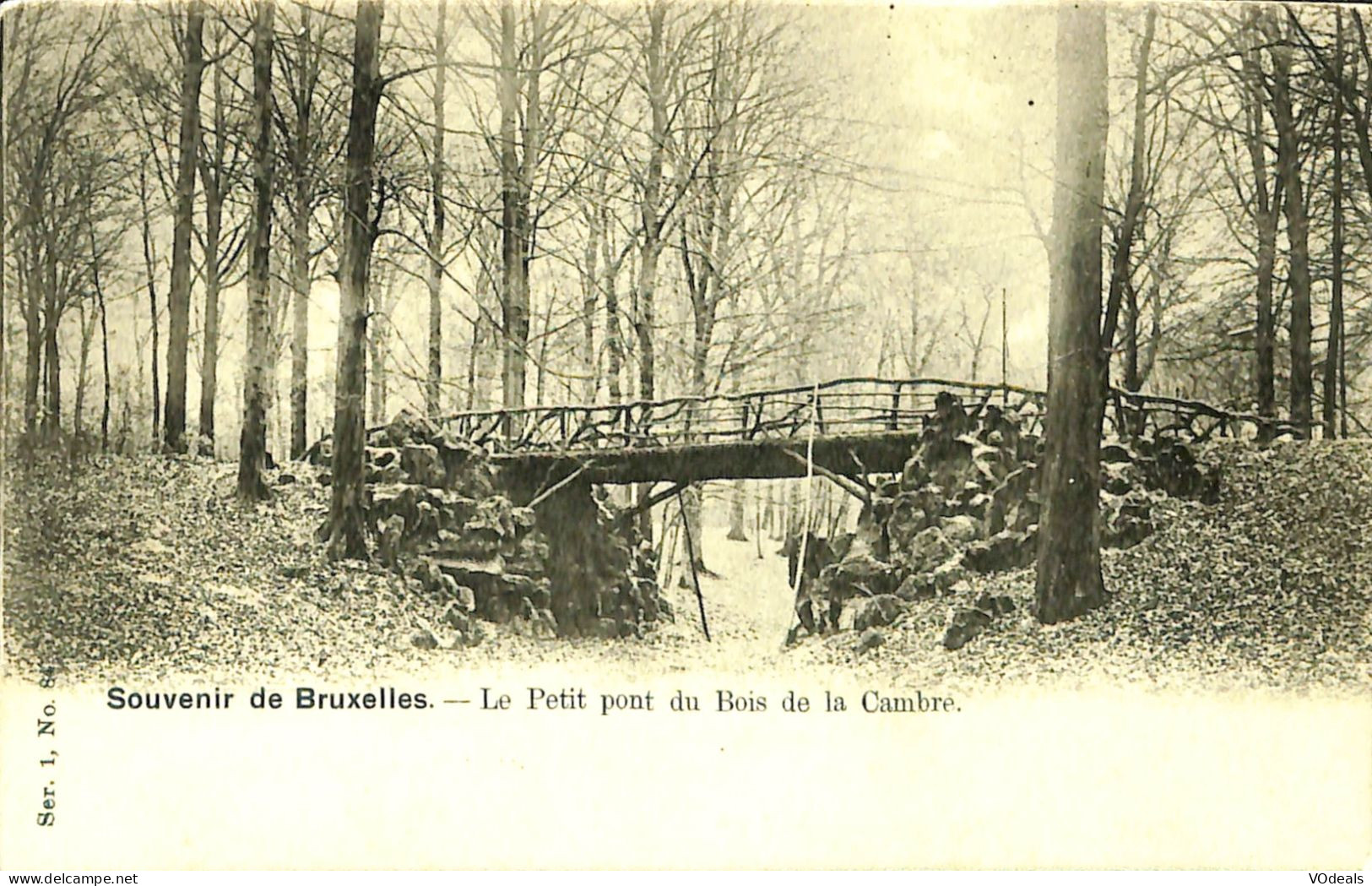 Belgique - Brussel -  Bruxelles - Souvenir De Bruxelles - Le Petit Pont Du Bois De La Cambre - Bossen, Parken, Tuinen