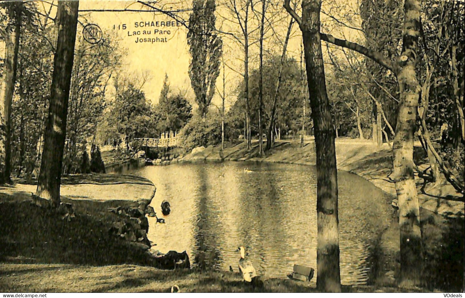 Belgique - Brussel -  Bruxelles - Schaerbeek - Schaarbeek - Lac Au Parc Josaphat - Schaarbeek - Schaerbeek