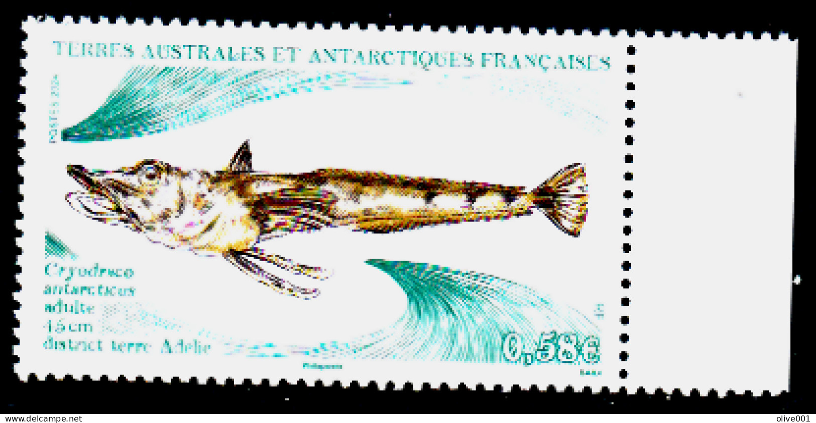 TAAF - 2023 - Cryodraco Antarticus - Animaux Marins - Faune - Timbre MNH ** Neuf - New - - Nuevos