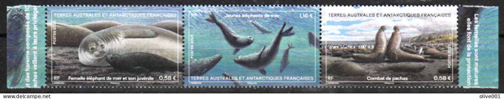 TAAF - 2023 - Eléphant De Mer - Animaux Marins - Faune - Mammifères Marins - Triptyque MNH ** Neuf - New - - Nuovi