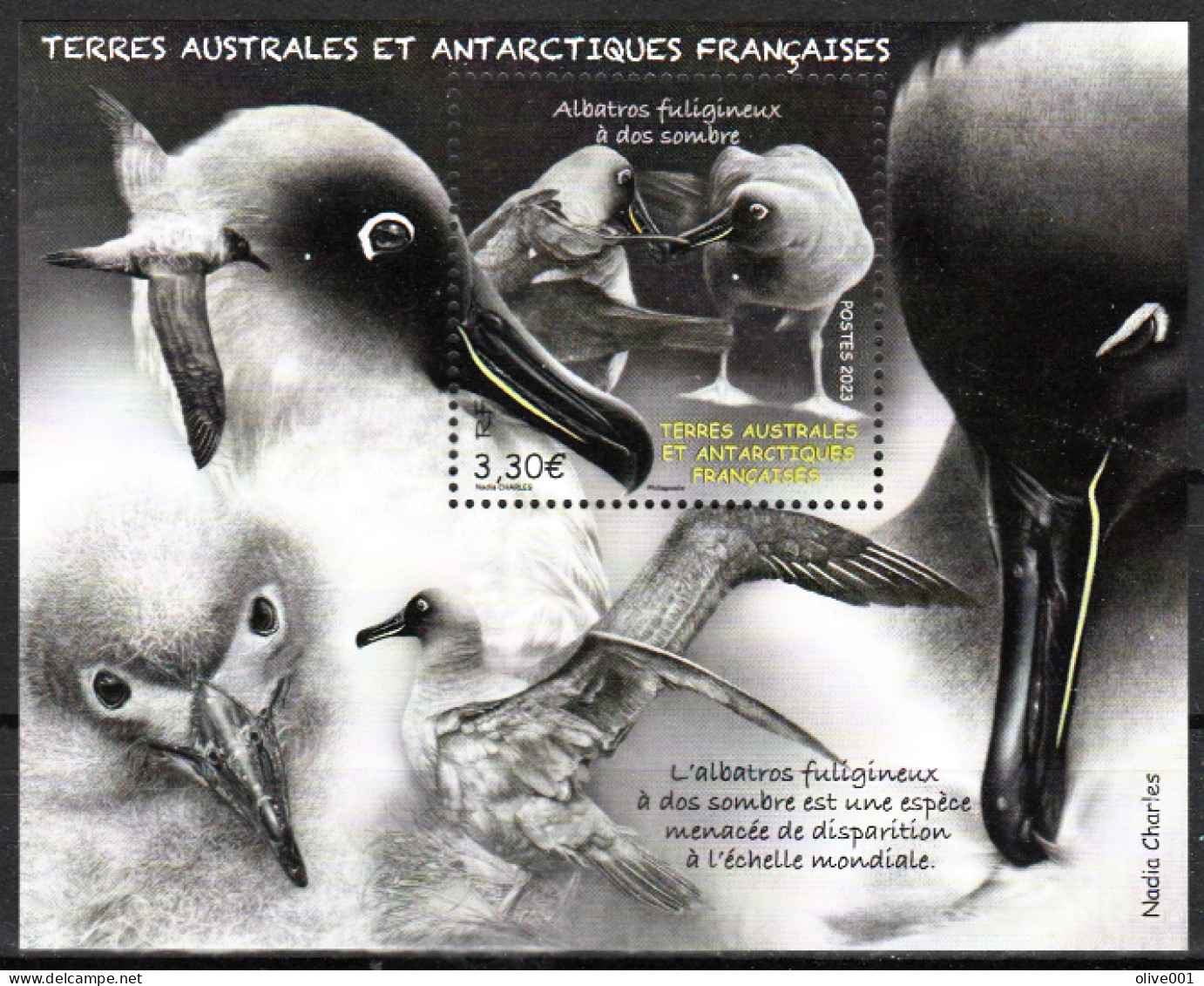 TAAF - 2023 - Albatros Fuligineux à Dos Sombre - Animaux - Oiseau - Faune - Oiseaux Marins - BF MNH ** Neuf - New - - Hojas Bloque