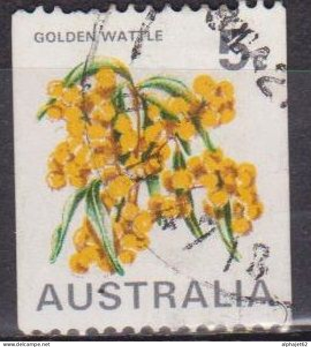 Fleurs, Acacias - AUSTRALIE - Flore - N° 414 - 1970 - Used Stamps
