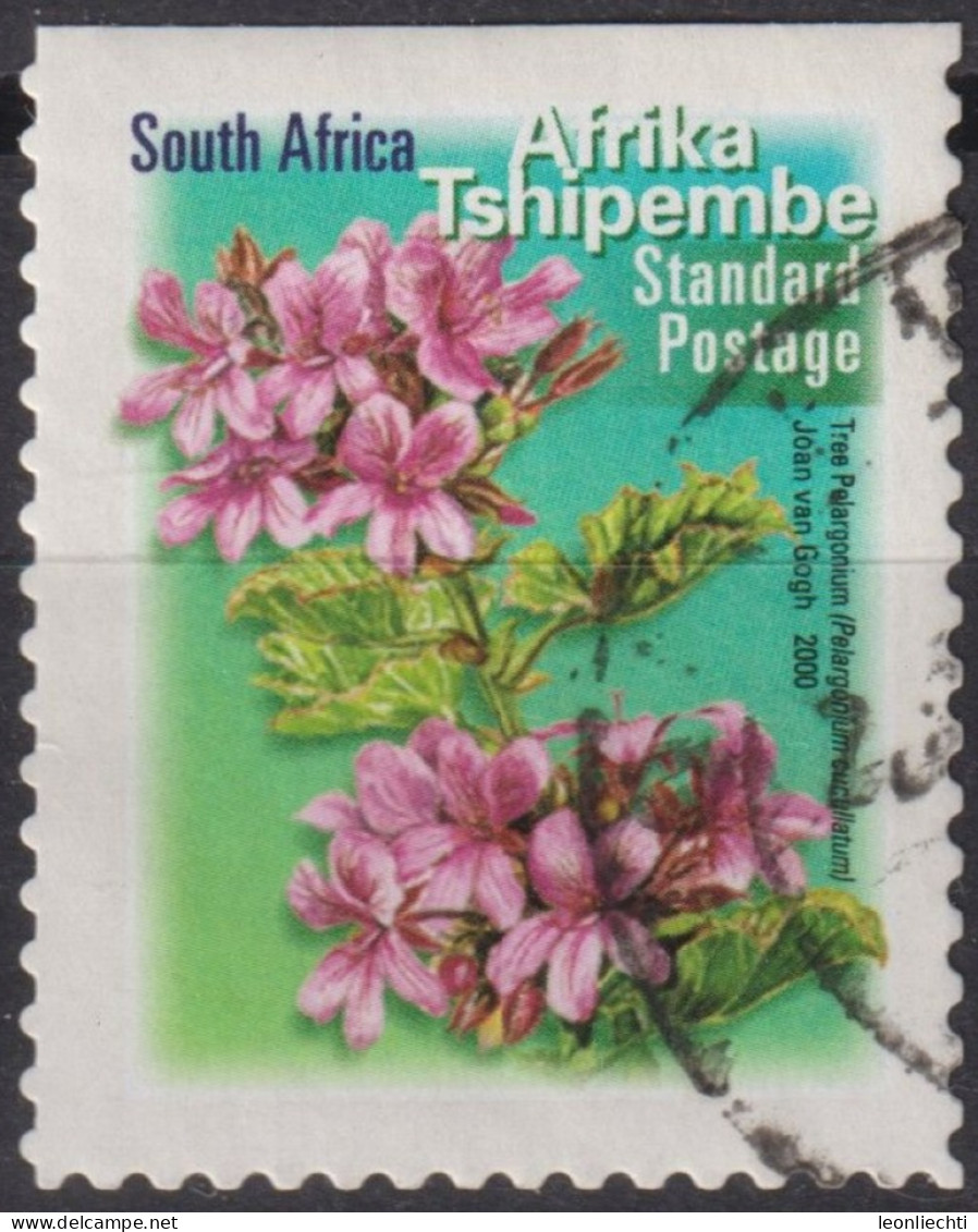 2000 Südafrika ° Mi:ZA 1351IIBC, Sn:ZA 1229P, Yt:ZA 1167b,Tree Pelargonium (Pelargonium Cucullatum) - Afrika Tshipembe - Gebraucht