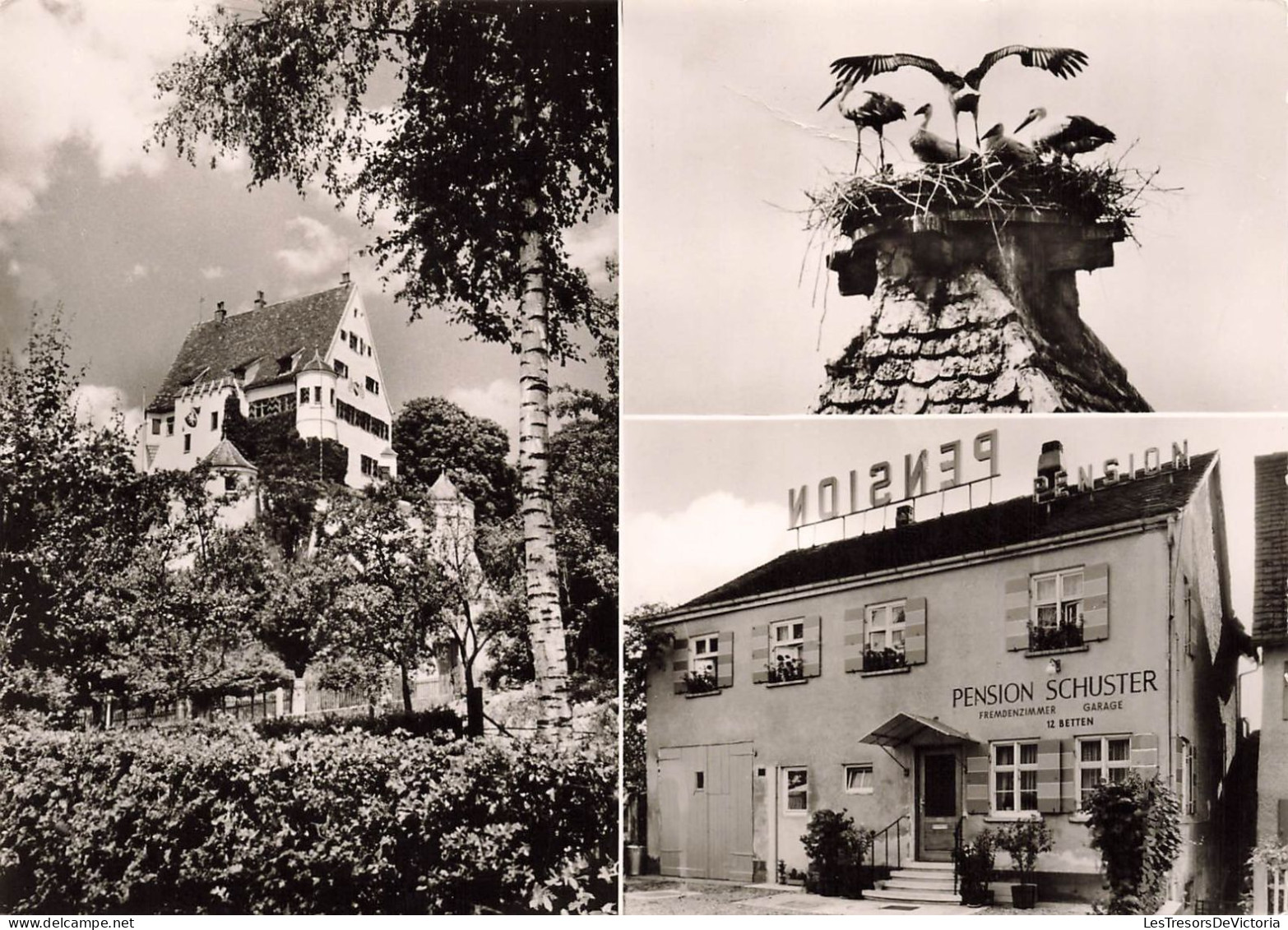 CELEBRITES - Pension Schuster - Leipheim/Do - Multi Vues De Différentes Endroits  - Carte Postale Ancienne - Sonstige & Ohne Zuordnung