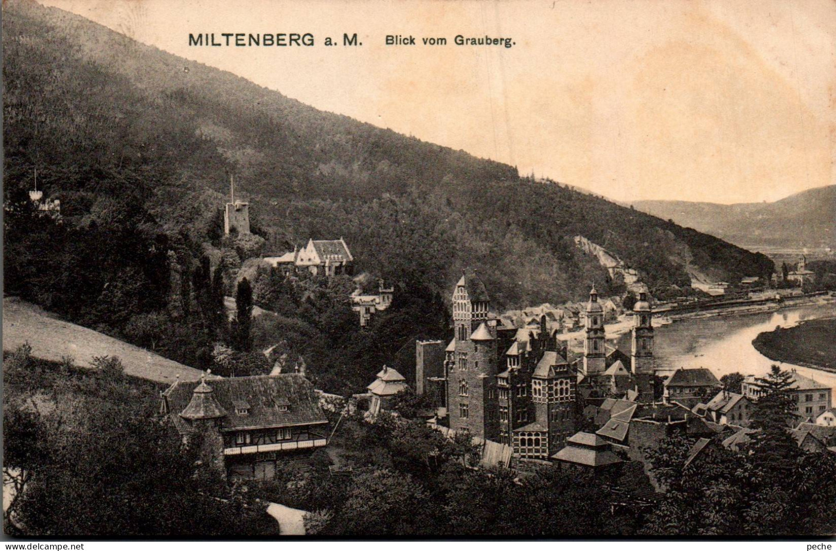 N°1293 V -cpa Miltenberg A. M. - Miltenberg A. Main