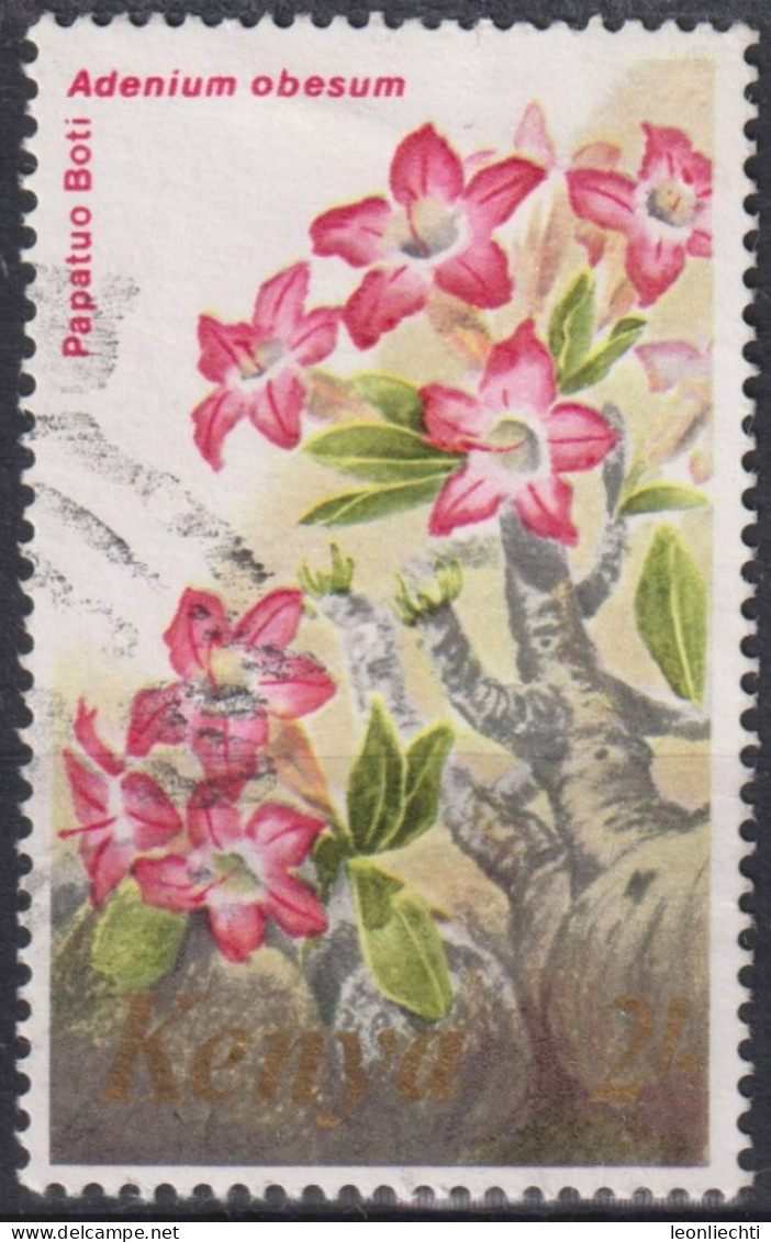 1983 Kenia ° Mi:KE 248, Sn:KE 255, Yt:KE 249, Adenium Obesum, Flowers, Blumen - Kenya (1963-...)