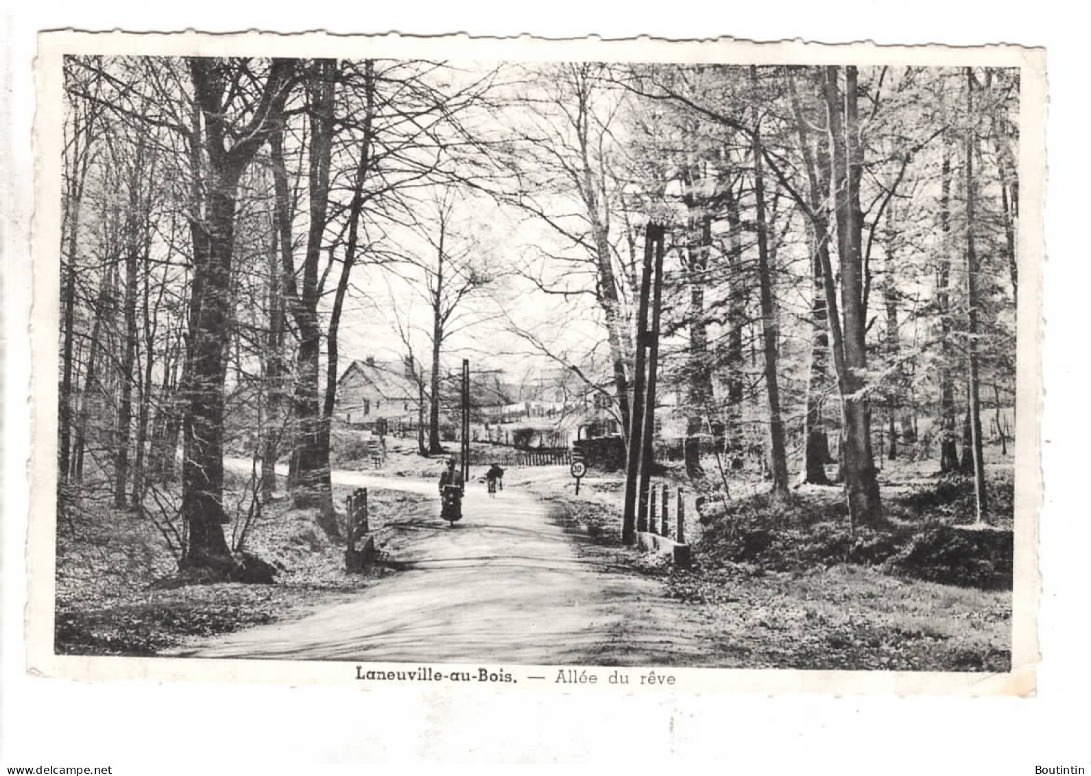 Laneuville Au Bois Allée Du Rêve - Tenneville