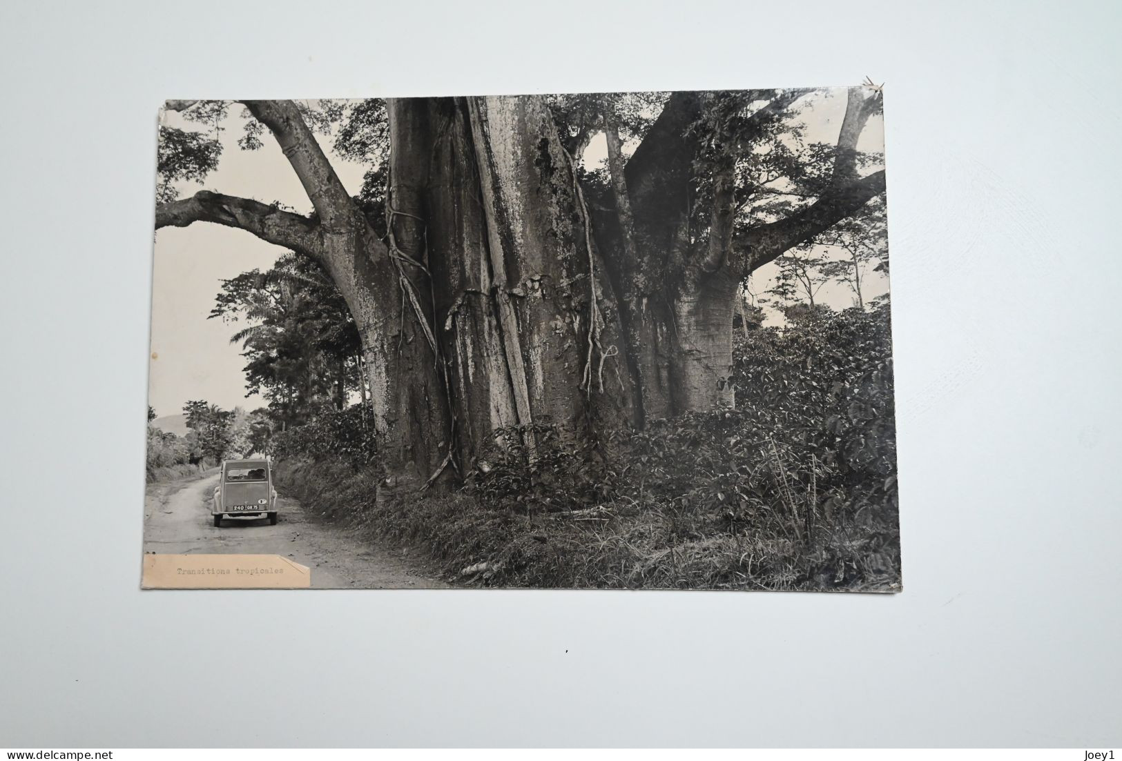 Portfolio Original De Pierre Duverger Pendant Son Voyage En Afrique En 1957 En 2CV, Format 30/40 40 Photos - Afrika