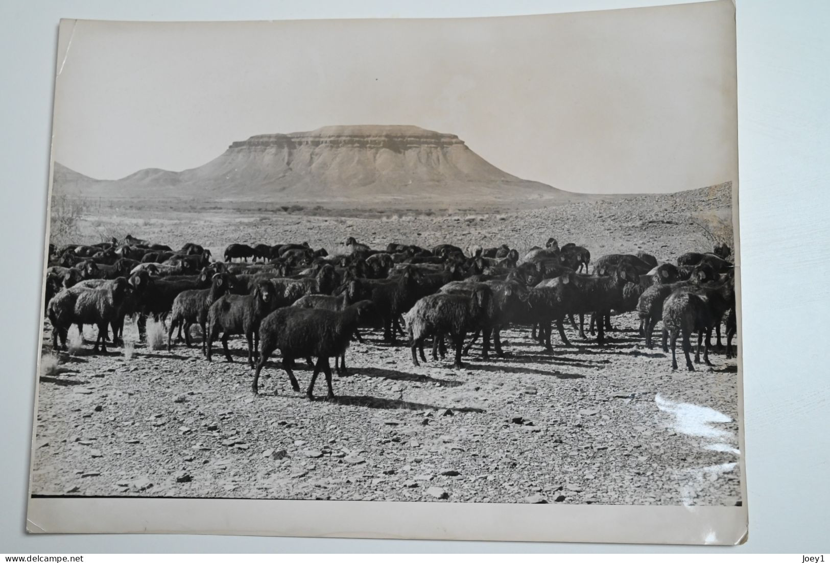 Portfolio original de Pierre Duverger pendant son voyage en Afrique en 1957 en 2CV, Format 30/40 40 photos