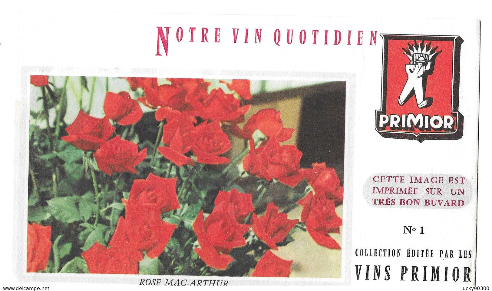 BUVARD VINS PRIMIOR - N° 1 - FLEURS ROSE MAC ARTHUR - DIMENSIONS 20 X 12 - F