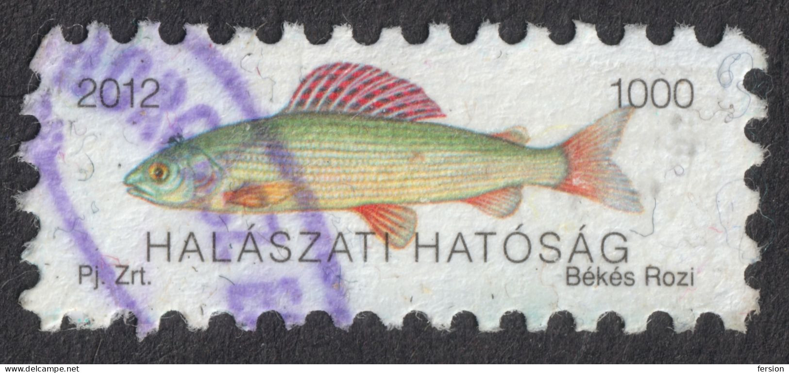 Fishing License Revenue Tax Stamp / Self Adhesive Label Vignette - Fisher Fish - Hungary 2012 - Used / Small Damages - Fiscales