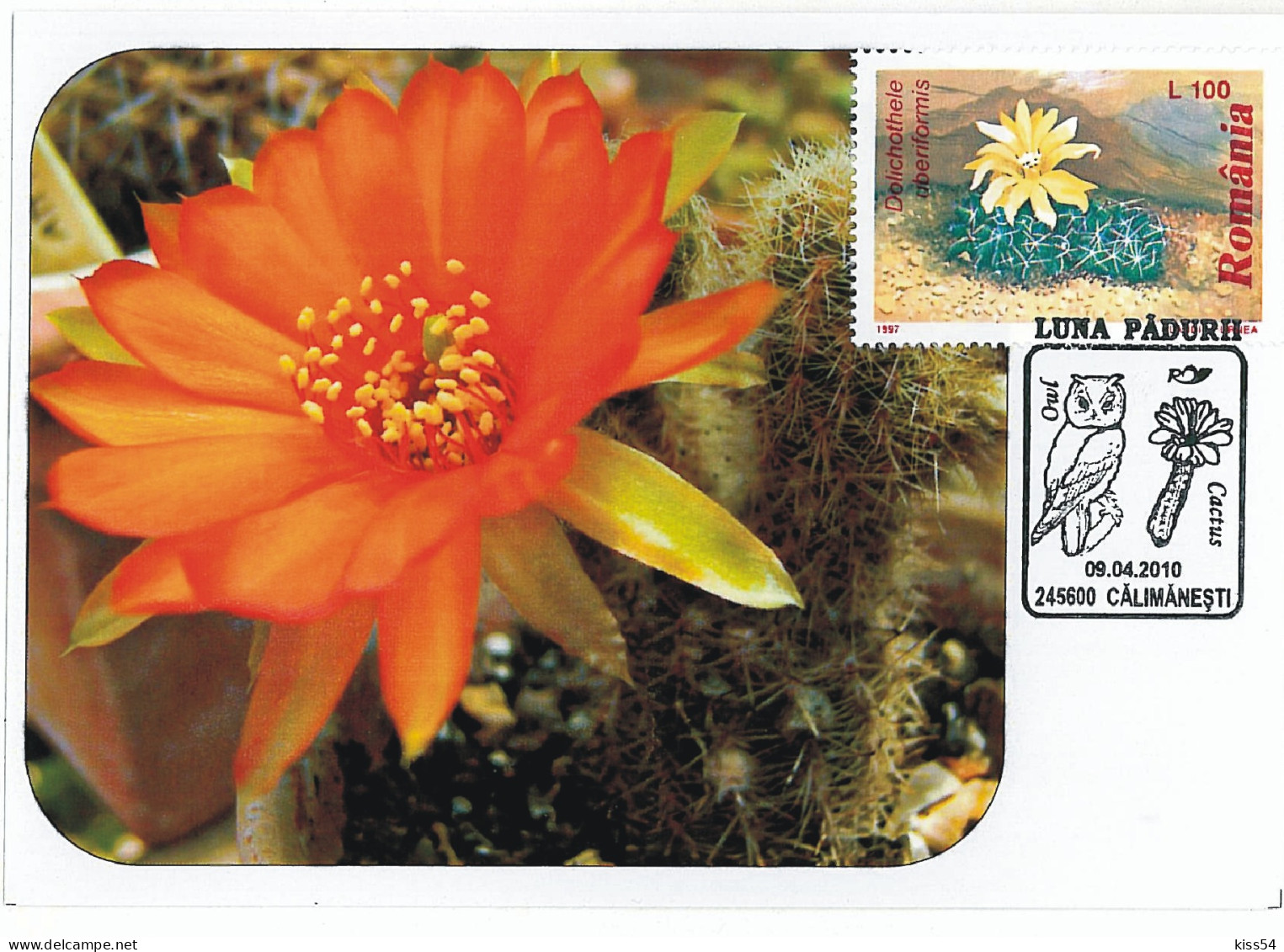 MAX 11 - 239 CACTUS, Romania - Maximum Card - 2010 - Cactus