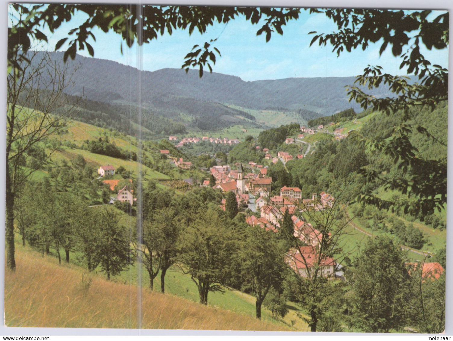 Postkaarten > Europa > Duitsland > Baden-Wuerttemberg > Bad Peterstal Gebruikt (16419) - Bad Peterstal-Griesbach