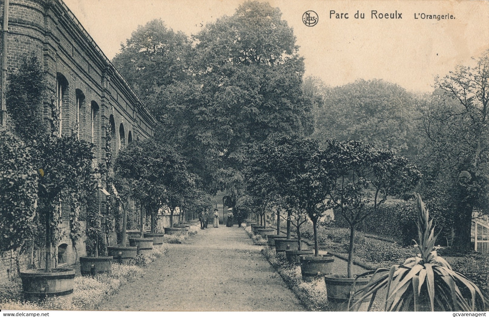 PARC DU ROEULX   L'ORANGERIE           ZIE SCANS - Le Roeulx