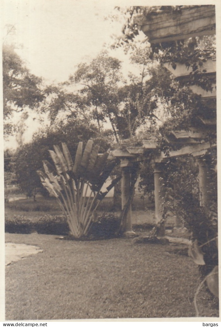 Photo Ancienne De La Colombie Jardin De L'hôtel à Fusagasuga - Amérique