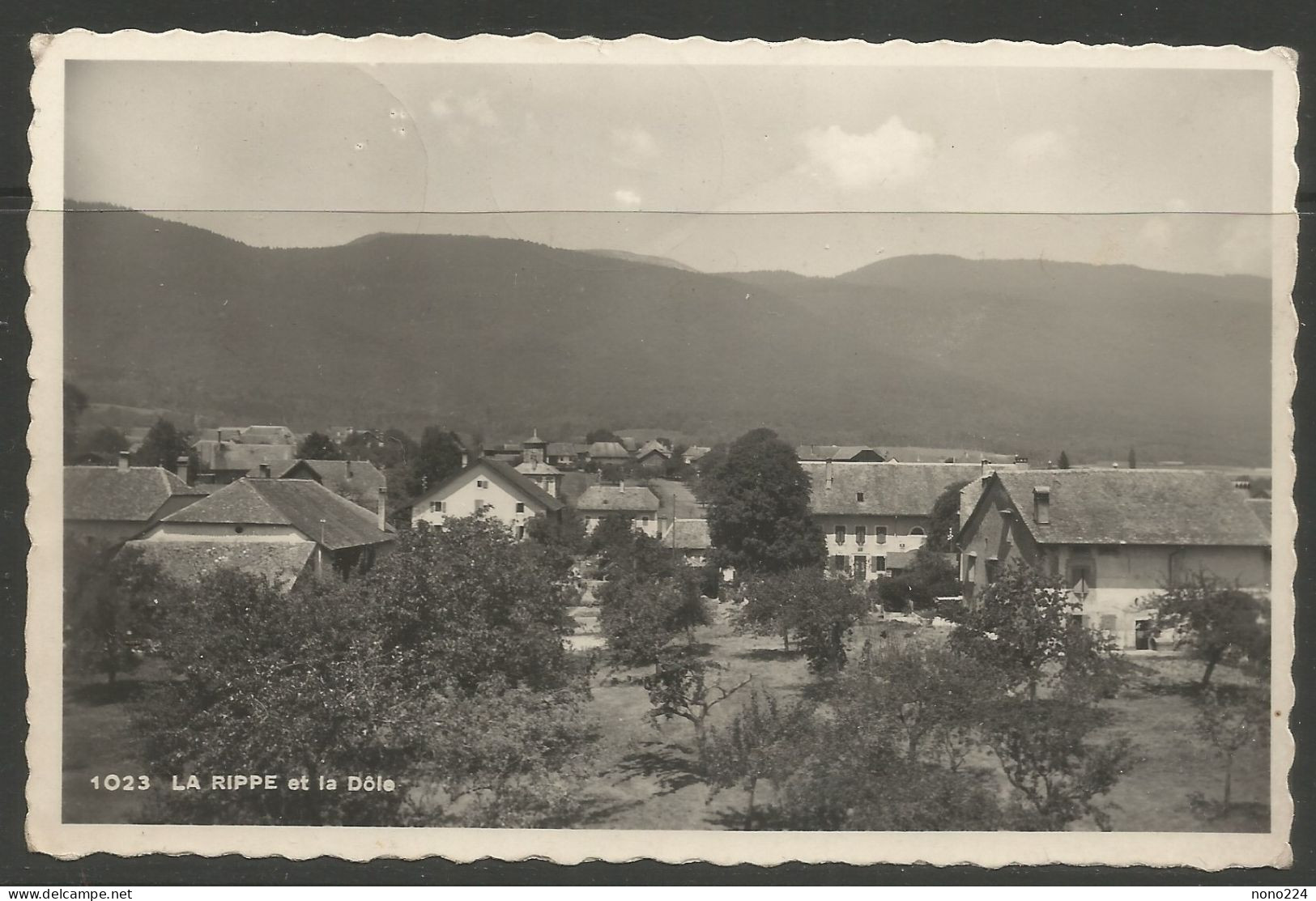 Carte P De 1951 ( La Rippe Et La Dôle ) - La Rippe