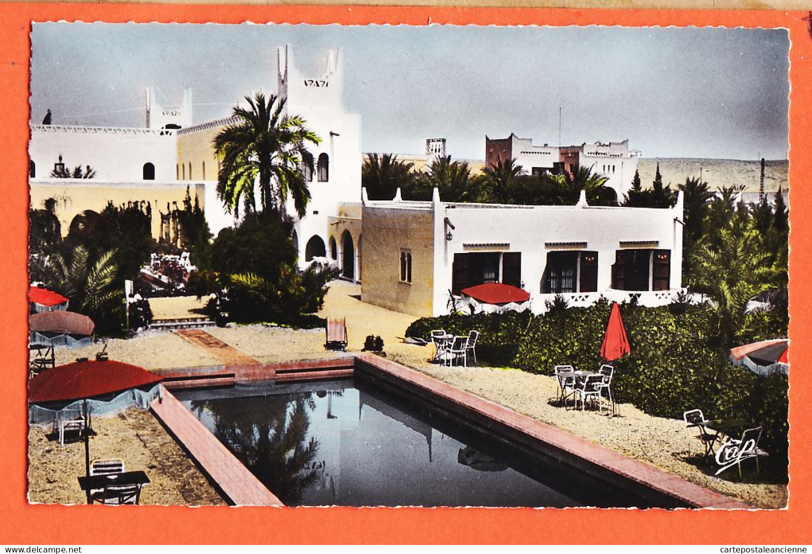 08182 ● GHARDAIA Algérie Piscine Hotel TRANSATLANTIQUE 1960s Real-Photo-Bromure CAP 561 - Ghardaïa