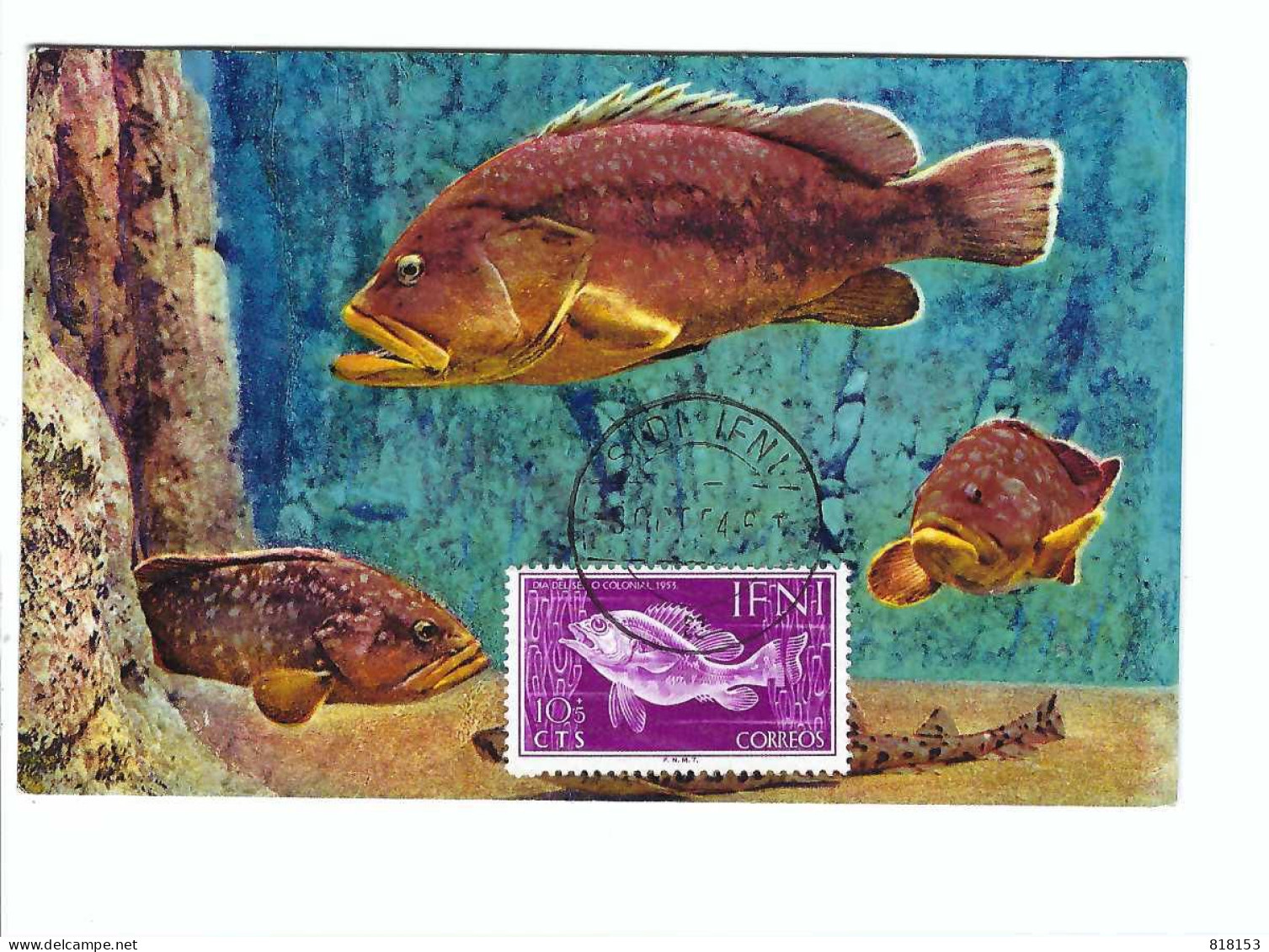 FDC  AQUARIUM DE MONACO  9 OKT 54 - Used Stamps