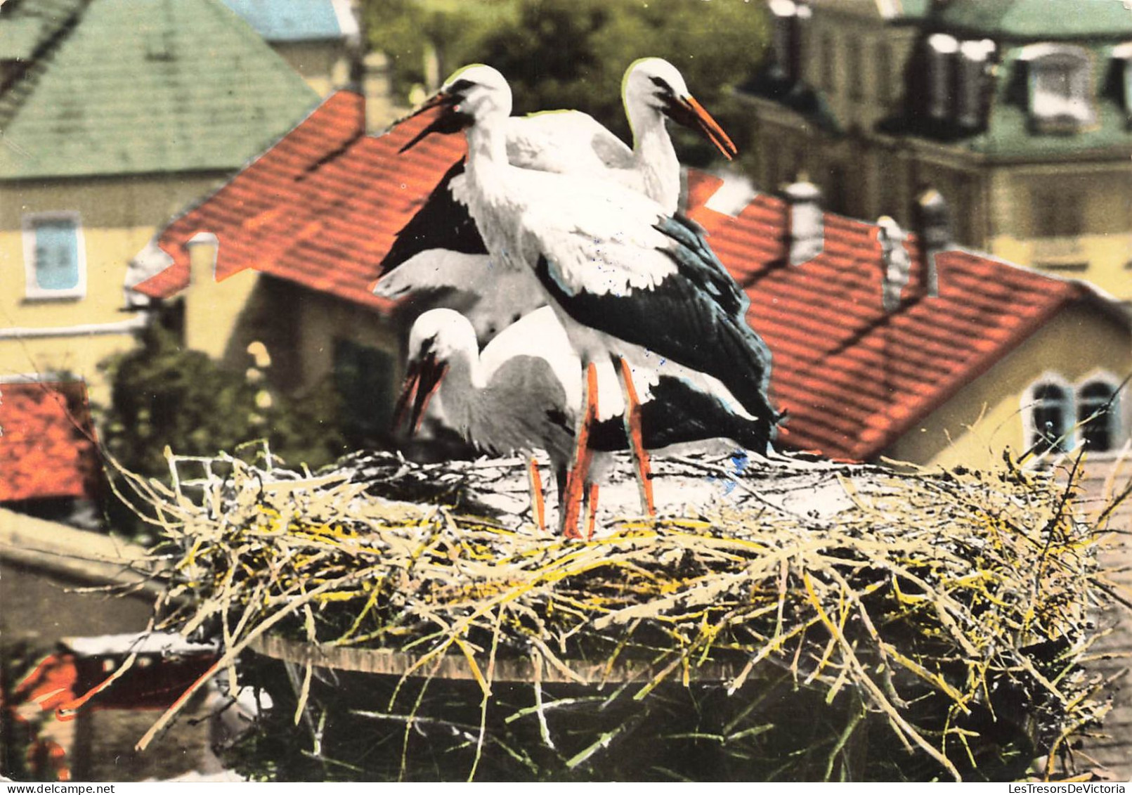 FRANCE - Cernay - Vue Sur Un Nid De Cigognes En Alsace - Colorisé - Carte Postale - Cernay