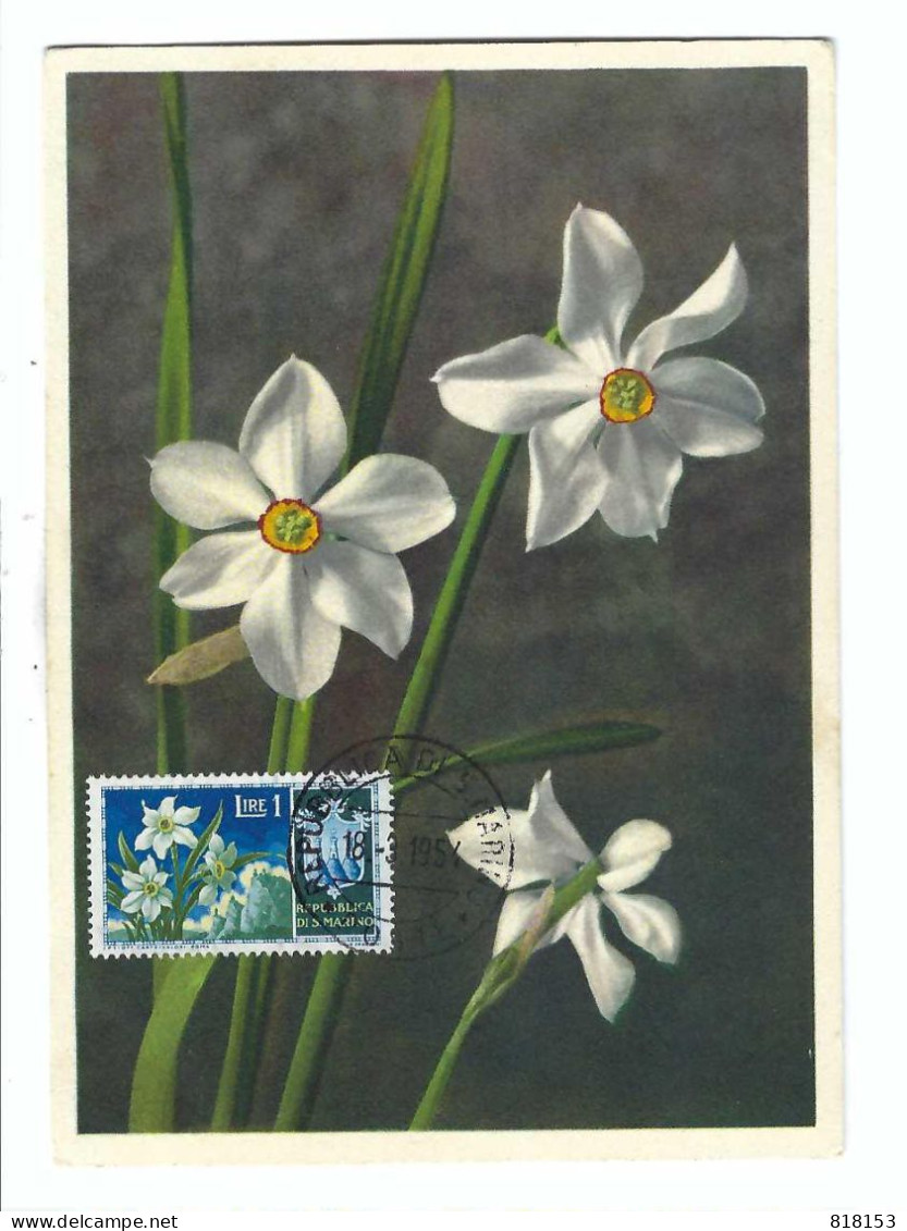 FDC   REPUBLICA DI S.MARINO      18-3- 1954      Gr.3144 Weisse Narcisse - Usati