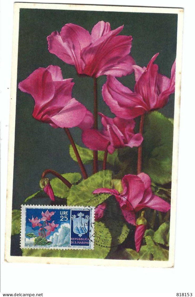 FDC   REPUBLICA DI S.MARINO 811 Cyclamen    18-3- 1954 - Used Stamps