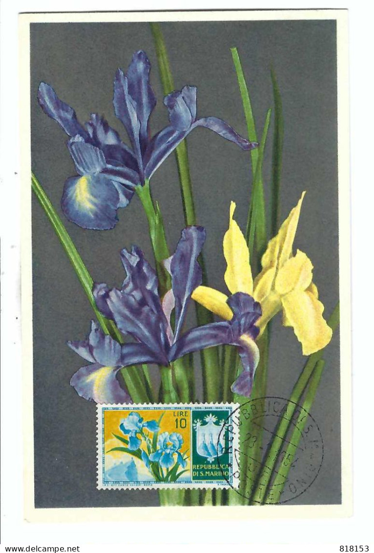 FDC   REPUBLICA DI S.MARINO  No 995  Iris         23-3. 1954 - Oblitérés