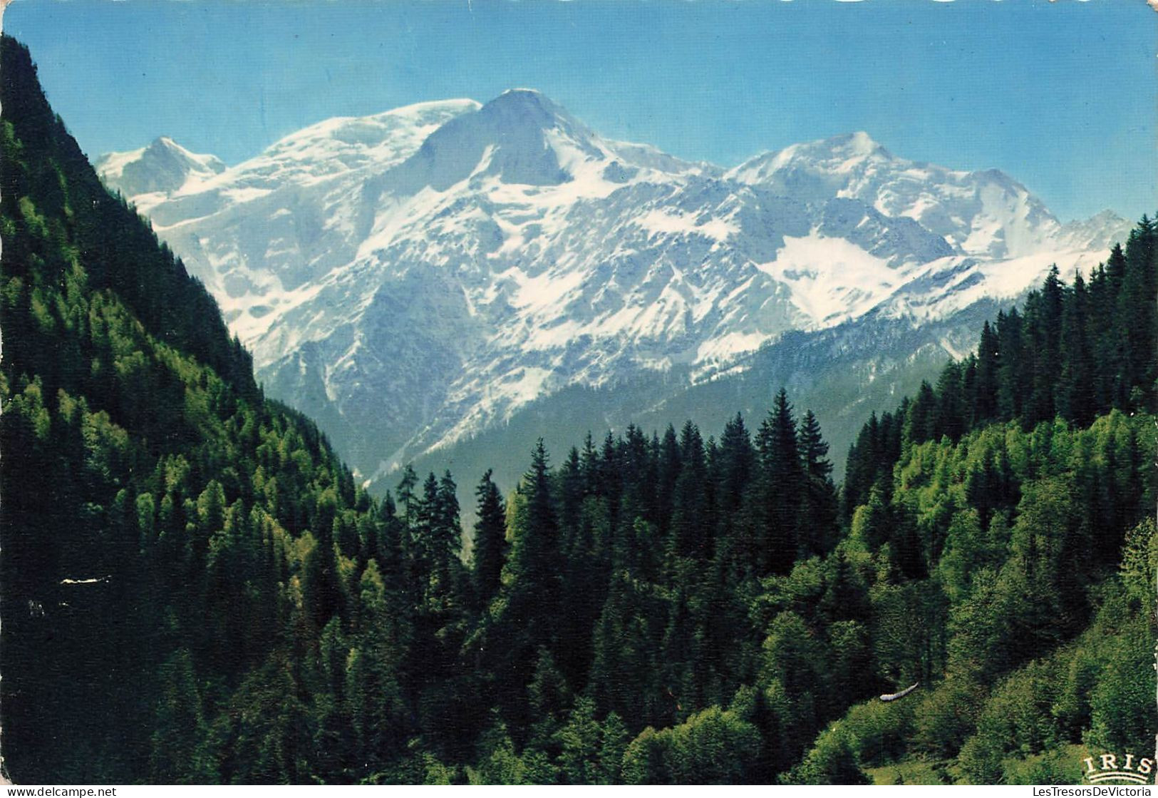 FRANCE - Panorama Sur Le Massif Du Mont Blanc - Carte Postale - Rhône-Alpes