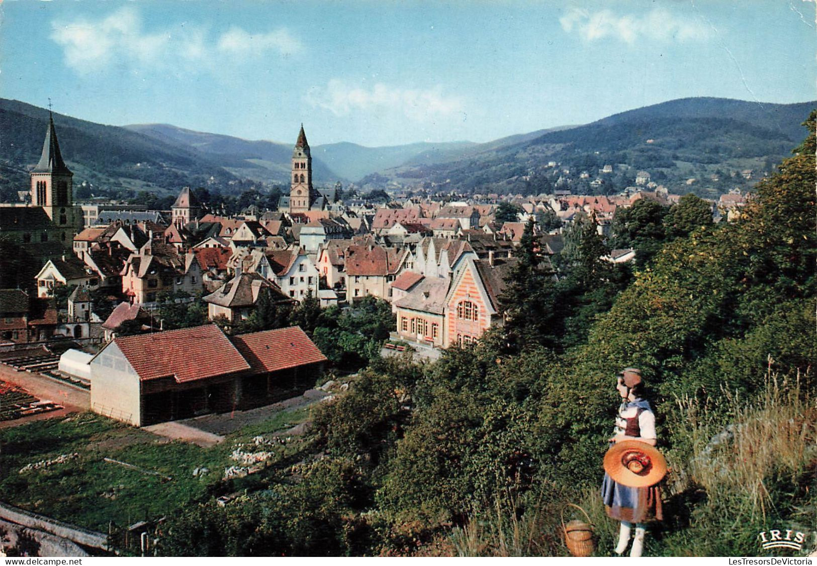 FRANCE - Munster - Vue Générale Vers Hohneck - Colorisé - Carte Postale - Munster