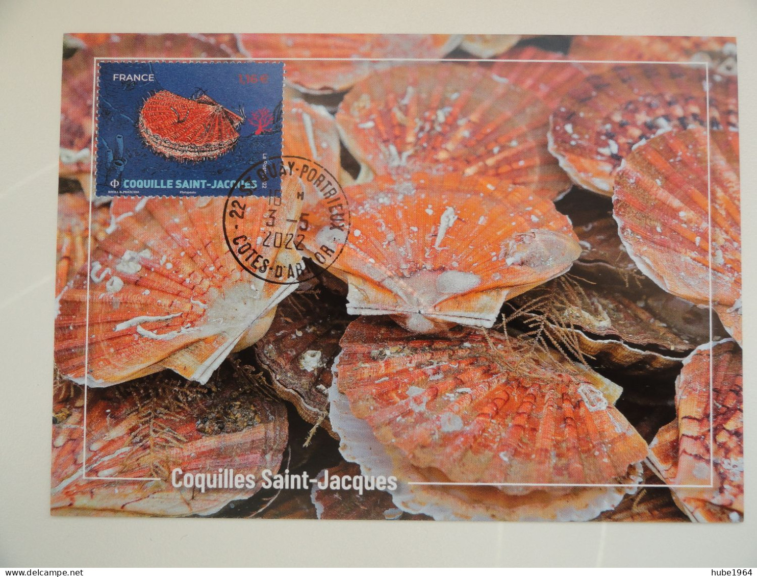 CARTE MAXIMUM CARD LOT DE 4 CM LAMBI, TOURTEAU, COQUILLE ST JACQUES Et CREVETTE BOUQUET FRANCE - Crustaceans