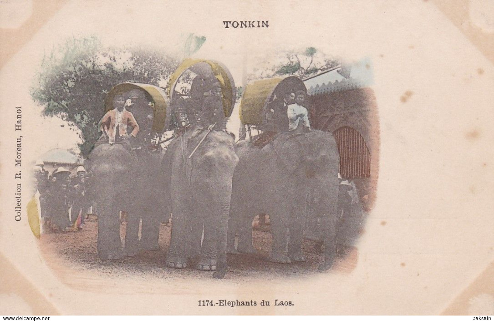 Eléphants Du Laos Indochine éléphant Laotien à La Foire De Hanoi Tonkin 1902 Collection Moreau Indochine Vietnam - Laos