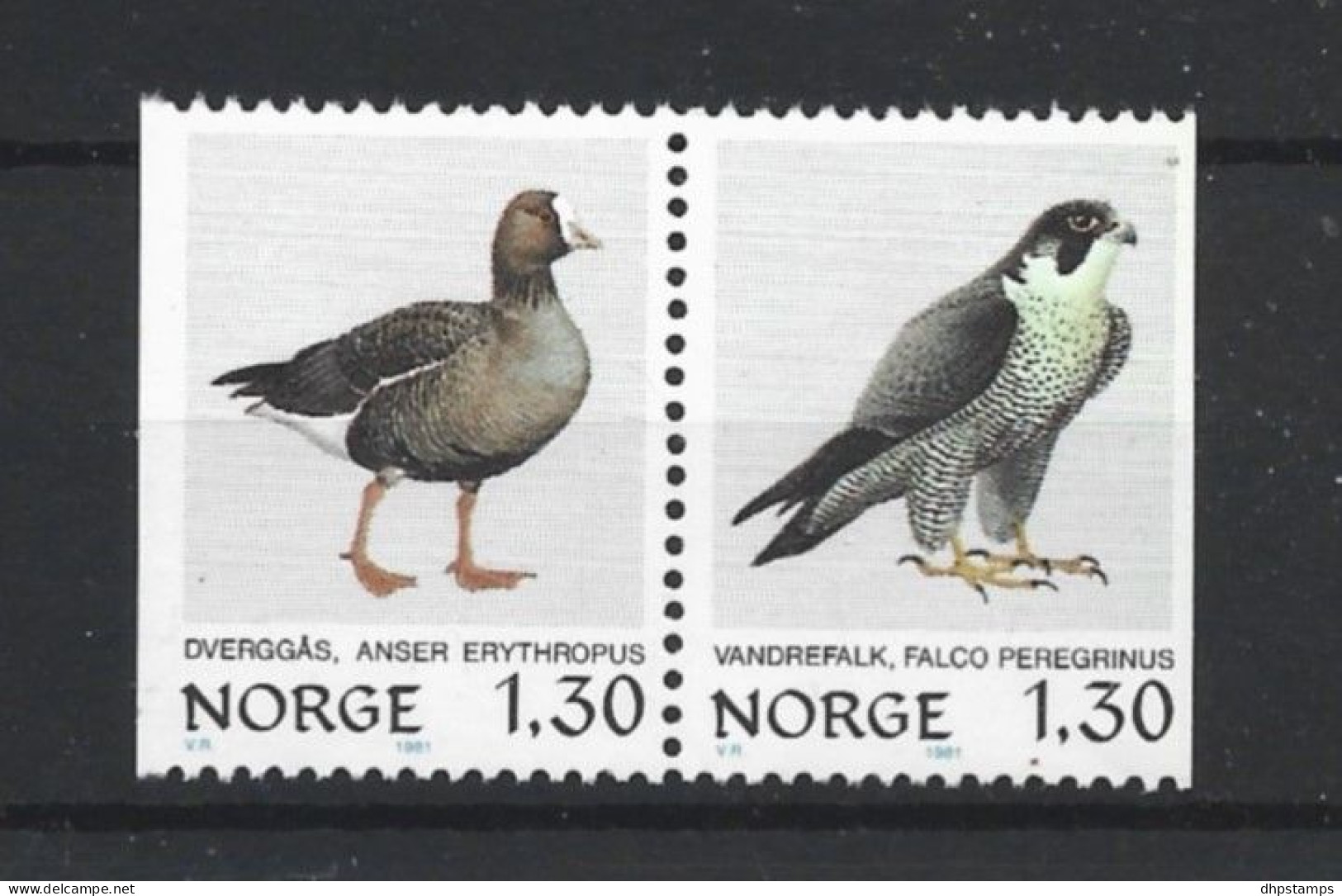 Norway 1981 Birds Pair Y.T. 783/784 ** - Ungebraucht
