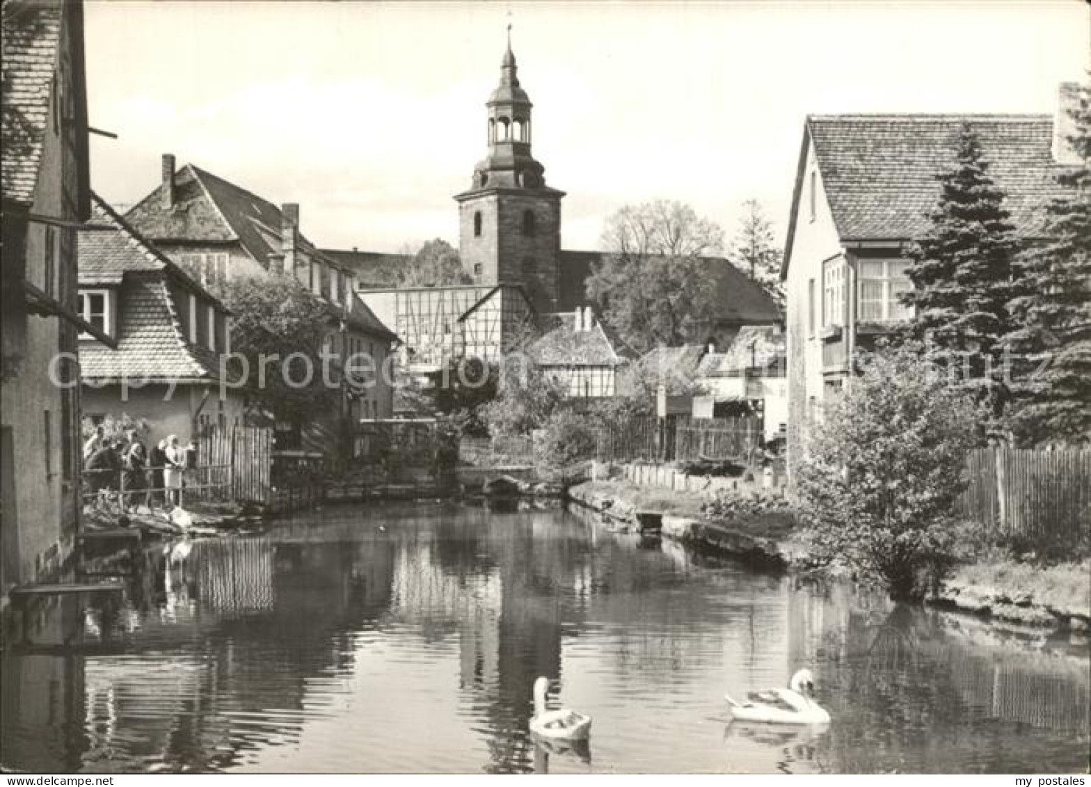 72343525 Bad Berka Klein Venedig Schwaene Kirche Bad Berka - Bad Berka