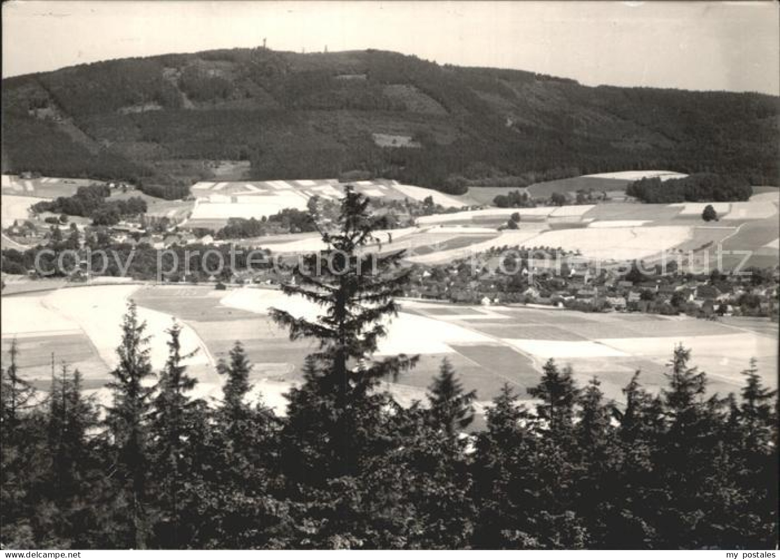 72341924 Cunewalde Panorama Blick Vom Bieleboh Czorneboh Oberlausitz Cunewalde - Cunewalde