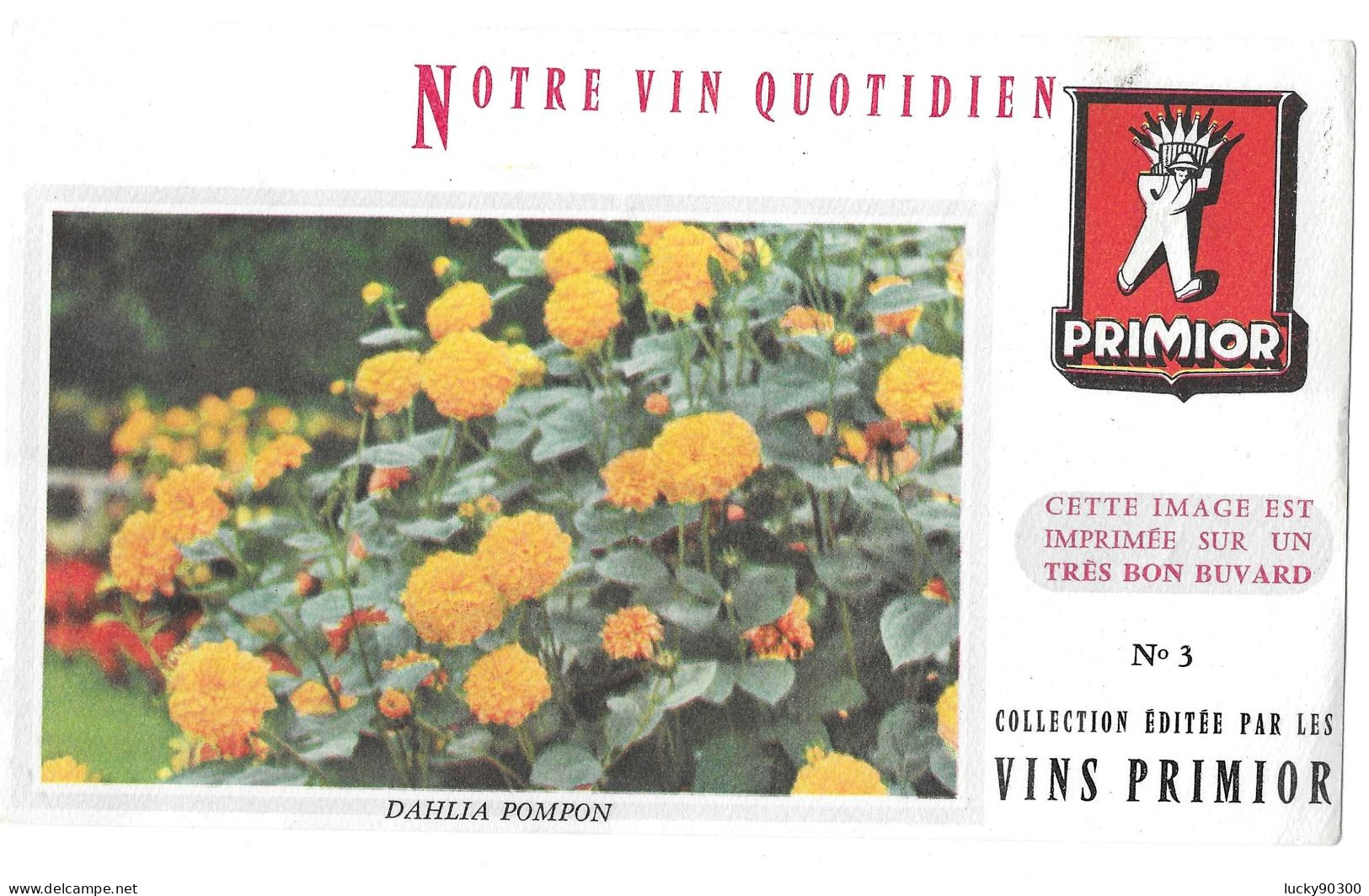 BUVARD VINS PRIMIOR - N° 3 - FLEURS DAHLIA POMPON - DIMENSIONS 20 X 12 - F